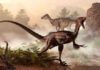 ‘Superlungs’ gave dinosaurs the energy to run and fight Dinosaurs