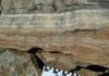 Evolution: South Africa’s hominin record is a fair-weather friend Field photograph of massive flowstone layers from one of the South African hominin caves, with red cave sediments underneath.