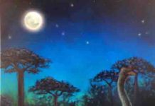 Giant flightless birds were nocturnal and possibly blind Giant nocturnal elephant birds are shown foraging in the ancient forests of Madagascar at night.