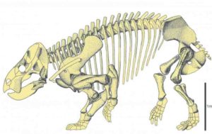 During the Triassic period (252-201 million years ago) mammal-like reptiles called therapsids co-existed with ancestors to dinosaurs, crocodiles, mammals, pterosaurs, turtles, frogs, and lizards. 