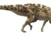 Most complete study on Europe’s greatest Hadrosaur site published Pararhabdodon isonensis