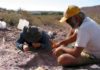 Paleontologists discover new sauropod species in Argentina The region where the new species of sauropod was found is unusual as it would have been a desert during that era, 110 million years ago