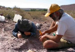 The region where the new species of sauropod was found is unusual as it would have been a desert during that era, 110 million years ago