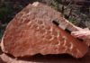 Reptile tracks oldest ever found in Grand Canyon UNLV geologist Stephen Rowland discovered that a set of 28 footprints left behind by a reptile-like creature 310 million years ago are the oldest ever to be found in Grand Canyon National Park.