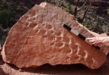 Reptile tracks oldest ever found in Grand Canyon UNLV geologist Stephen Rowland discovered that a set of 28 footprints left behind by a reptile-like creature 310 million years ago are the oldest ever to be found in Grand Canyon National Park.