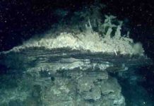 Researchers help map and scout for hydrothermal vents in Gulf of California This hydrothermal chimney was one of several discovered by MBARI scientists in the southern Pescadero Basin.