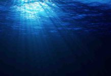 Seismic study reveals huge amount of water dragged into Earth’s interior Ocean