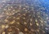 Where water goes after fracking is tied to earthquake risk This is an aerial view of hydraulic fracturing operations across the Jonah field, a large natural gas field in Wyoming.