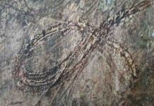 Early animals: Death near the shoreline, not life on land Close-up of a looping millipede death-trail.