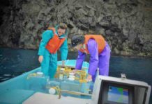 Fossil algae reveal 500 million years of climate change For her research Witkowski collected seawater with fresh, modern algae to test potential indicators of the past.