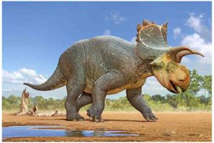 Crittendeceratops