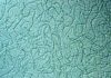 Oxygen could have been available to life as early as 3.5 billion years ago Cyanobacteria up close
