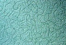 Oxygen could have been available to life as early as 3.5 billion years ago Cyanobacteria up close