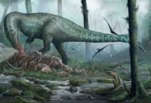 Spectacular flying reptiles soared over Britain’s tropical Jurassic past Megalosaurus