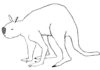 Tiny Australian wallaby the last living link to extinct giant kangaroos This is a drawing of the extinct Australian giant short-faced kangaroo Simosthenurus occidentalis, part of the Sthenurinae sub-family.
