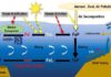 Tracing iron in the North Pacific The iron cycle in the ocean
