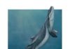 Whales lost their teeth before evolving hair-like baleen in their mouths This is an artistic reconstruction of a mother and calf of Maiabalaena nesbittae nursing offshore of Oregon during the Oligocene, about 33 million years ago.