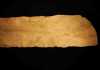 Fossilized slime of 100-million-year-old hagfish shakes up vertebrate family tree Tethymyxine tapirostrum, is a 100-million-year-old, 12-inch long fish embedded in a slab of Cretaceous period limestone from Lebanon, believed to be the first detailed fossil of a hagfish.