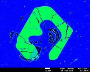 This is a false color electron-microscope image of a resorbed apatite crystal (green) in pitchstone glass (blue). The composition of the pitchstone glass and the characteristic mineral textures are identical in the studied pitchstone sites of the Sgùrr of Eigg and Òigh-sgeir, although over 30km apart, indicating a common origin, and thus a large and geographically widespread volcanic eruption. Credit: Valentin Troll