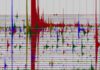 Q&A: Creating a “Virtual Seismologist” A snapshot of seismic data taken at a single station during the peak of an aftershock sequence