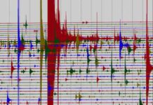 A snapshot of seismic data taken at a single station during the peak of an aftershock sequence