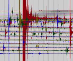 A snapshot of seismic data taken at a single station during the peak of an aftershock sequence