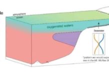 Ancient rocks provide clues to Earth’s early history Mt. McRae Shale