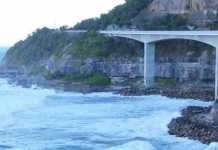 Earth’s largest extinction event likely took plants first This is a view of Coalcliff in New South Wales, Australia, where researchers discovered evidence that Earth's largest extinction may have extinguished plant life nearly 400,000 years before marine animal species disappeared. Credit: Christopher Fielding