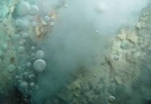 Bubbles of liquid carbon dioxide float out of the seafloor at a vent on Northwest Eifuku volcano off the coast of Japan.