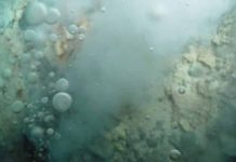 How undersea gases once helped superheat our planet Bubbles of liquid carbon dioxide float out of the seafloor at a vent on Northwest Eifuku volcano off the coast of Japan.