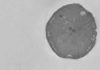 Life thrived on Earth 3.5 billion years ago Electron microscopy image of microbial cells which respire sulfate.