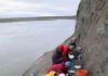 Marsupial lived among Arctic dinosaurs Scientists excavate a dinosaur bone bed along the Colville River.
