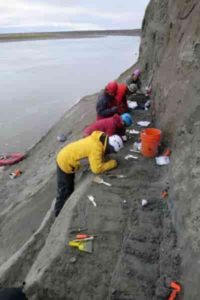 Scientists excavate a dinosaur bone bed along the Colville River.