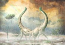New dinosaur with heart-shaped tail provides evolutionary clues for African continent This is an illustration depicting Mnyamawamtuka in its environmental setting.
