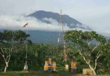 Satellite images reveal interconnected plumbing system that caused Bali volcano to erupt Mount Agung