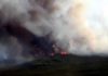 Alaska forest fires over past 450 years A 2015 wildfire burns in the boreal forest of central Alaska. A recent study by Tyler Hoecker and Philip Higuera reconstructs fire history in a nearby boreal forest landscape and suggests that fire activity over the past several decades has been higher than at any time over the past 450 years.