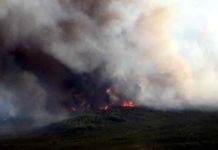 Alaska forest fires over past 450 years A 2015 wildfire burns in the boreal forest of central Alaska. A recent study by Tyler Hoecker and Philip Higuera reconstructs fire history in a nearby boreal forest landscape and suggests that fire activity over the past several decades has been higher than at any time over the past 450 years.