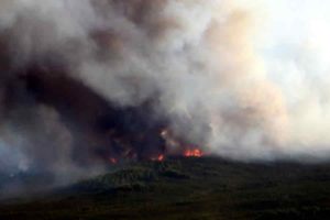 A 2015 wildfire burns in the boreal forest of central Alaska. A recent study by Tyler Hoecker and Philip Higuera reconstructs fire history in a nearby boreal forest landscape and suggests that fire activity over the past several decades has been higher than at any time over the past 450 years.