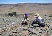 Ancient records prompt rethink of animal evolution timeline Researchers conducting fieldwork in Namibia as part of a previous study.