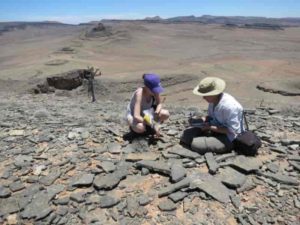 Researchers conducting fieldwork in Namibia as part of a previous study. 