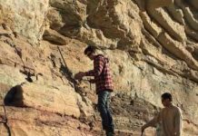 In ancient oceans that resembled our own, oxygen loss triggered mass extinction