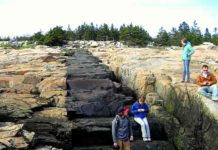 Intrusive Basalt Dike “Acadia National Park” Intrusive Basalt Dike, Acadia National Park