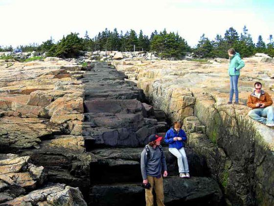 Intrusive Basalt Dike, Acadia National Park