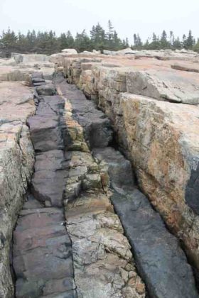 Intrusive Basalt Dike, Acadia National Park