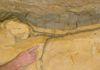 K-T Boundary “Cretaceous-Tertiary Boundary” K-T Boundary / K-Pg Boundary