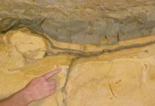 K-T Boundary / K-Pg Boundary