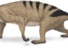 Mammals’ unique arms started evolving before the dinosaurs existed Thrinaxodon