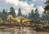 New wallaby-sized dinosaur from the ancient Australian-Antarctic rift valley Galleonosaurus dorisae