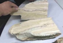 Rescuing geologic and climate records A speleothem that Ibarra retrieved from a cave in the Philippine