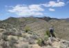 Researchers uncover new clues to surviving extinction Scientists are peeking into ancient oceans to unravel the complexities of mass extinctions, past and future.